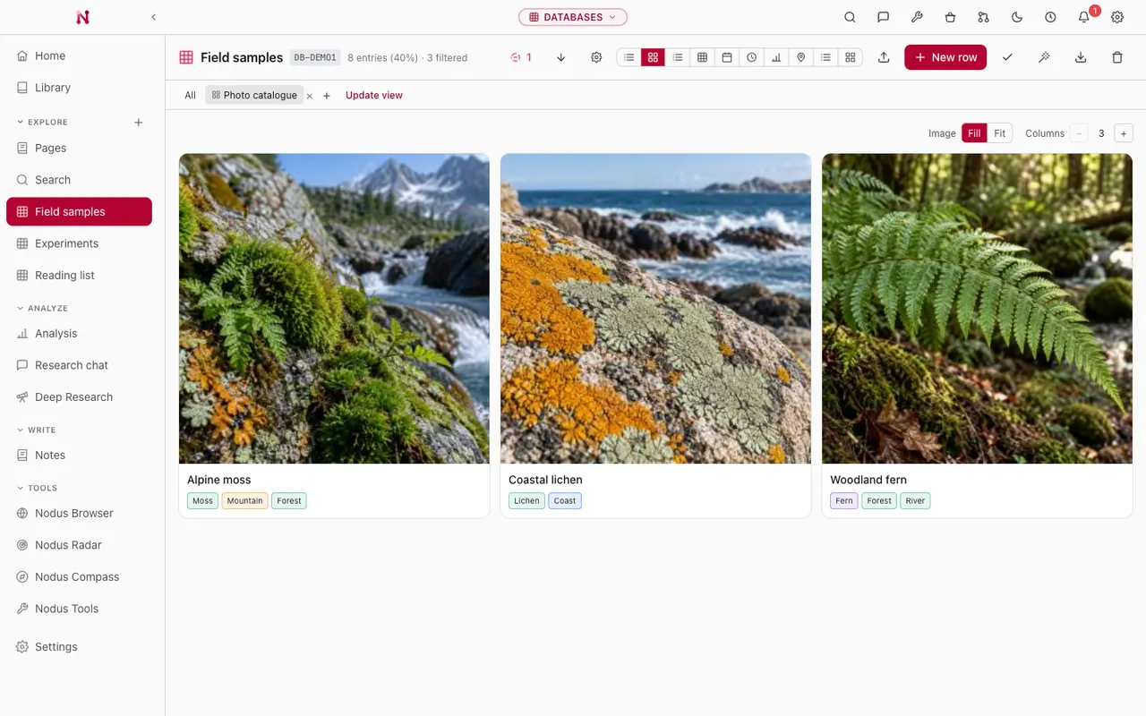 Nodus databases vault: a field-sample photo catalogue with three distinct AI-generated example images